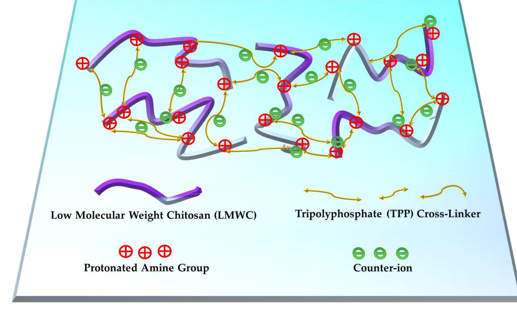 (PDF) Synthesis and Properties of Chitosan Nanoparticles CrossLinked ...
