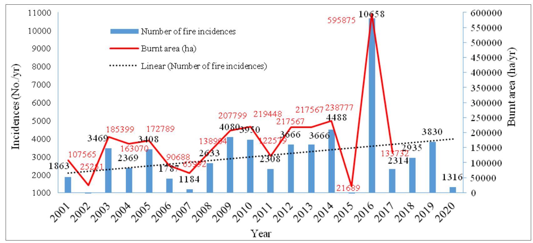 (PDF) Temporal and Spatial Distribution of Forest Fires and their ...
