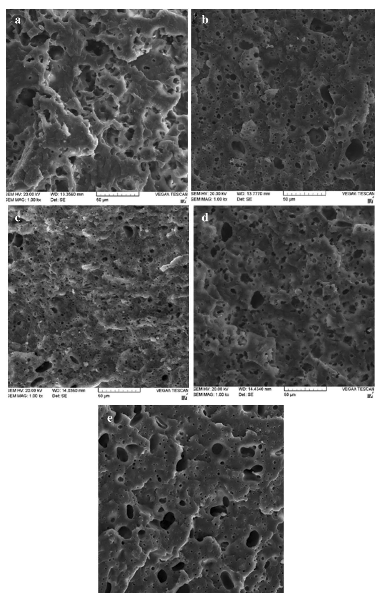 (PDF) Effects of Compatibilizer and Thermoplastic Starch (TPS ...