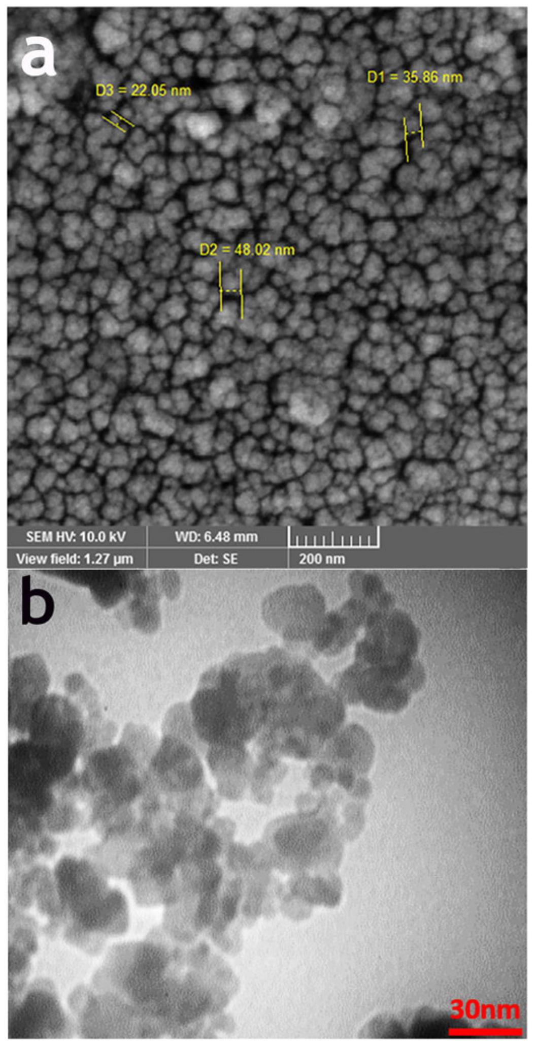 Fesem (a) and tem (b) images of bio-capped fe30, nps in 0.5