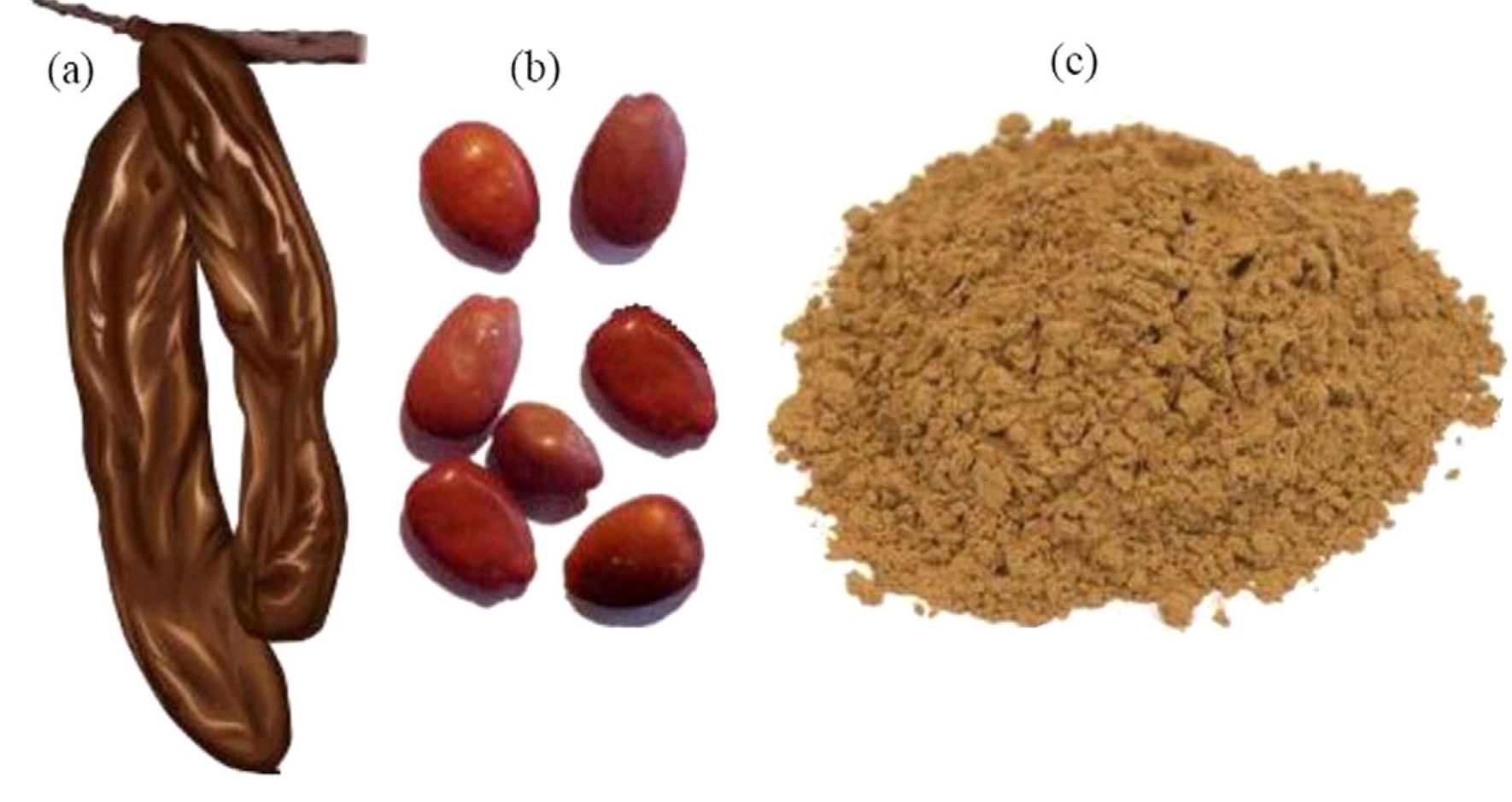 (PDF) Locust bean gum: A versatile biopolymer