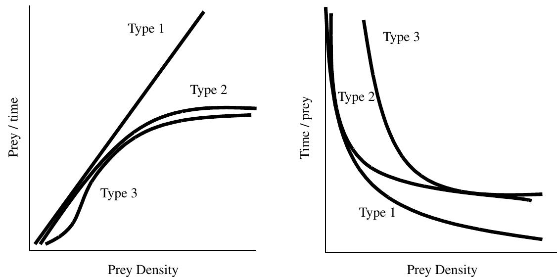 (PDF) Effort and the Functional Response of Deer Hunters