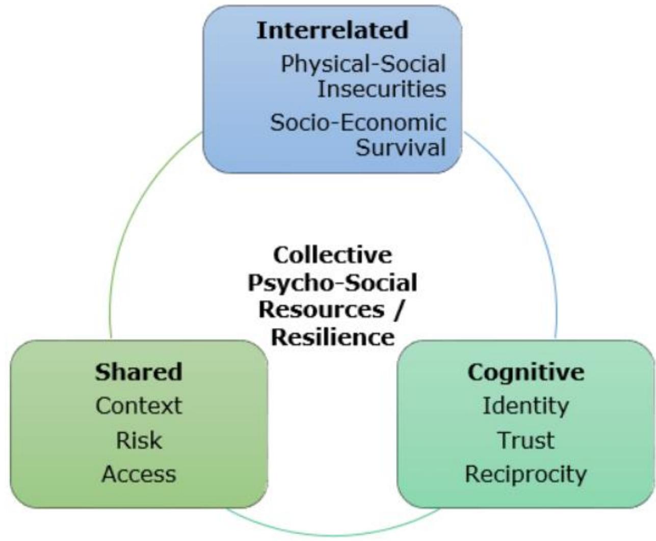 (PDF) Social dimensions of resilience and climate change: a rapid ...