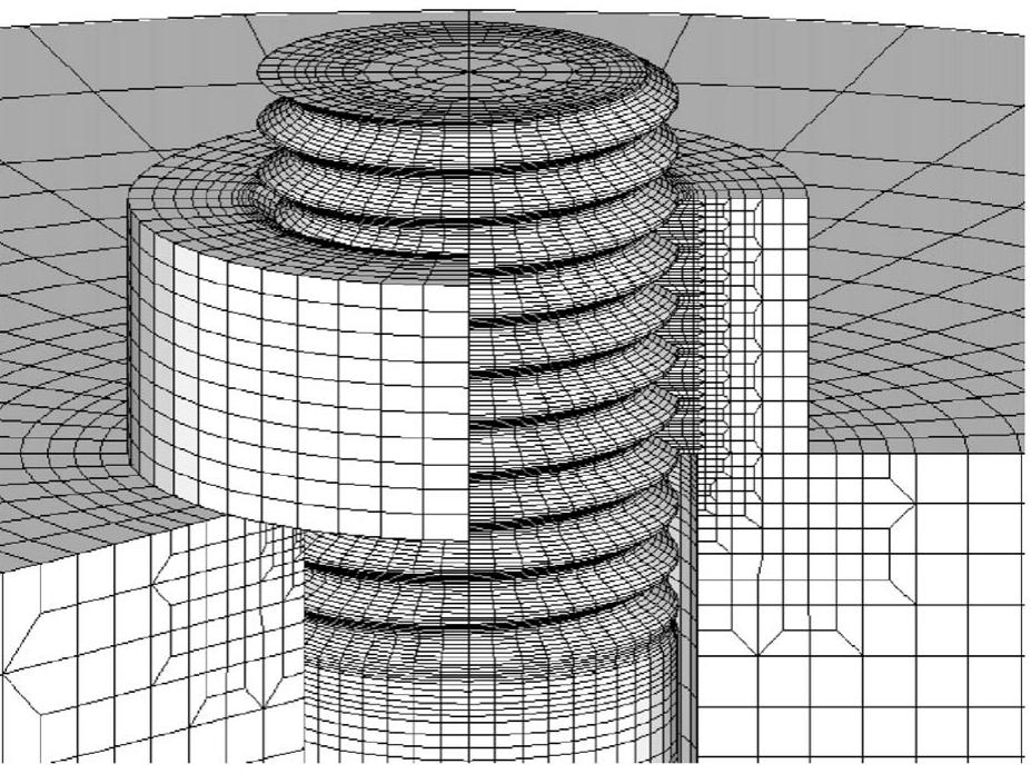 Fienit element model of entire bolted joint