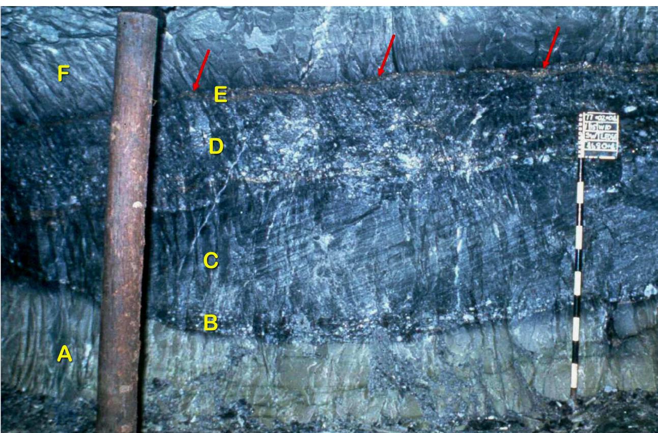 (PDF) A Review of the Witwatersrand Basin - The World’s Greatest Goldfield