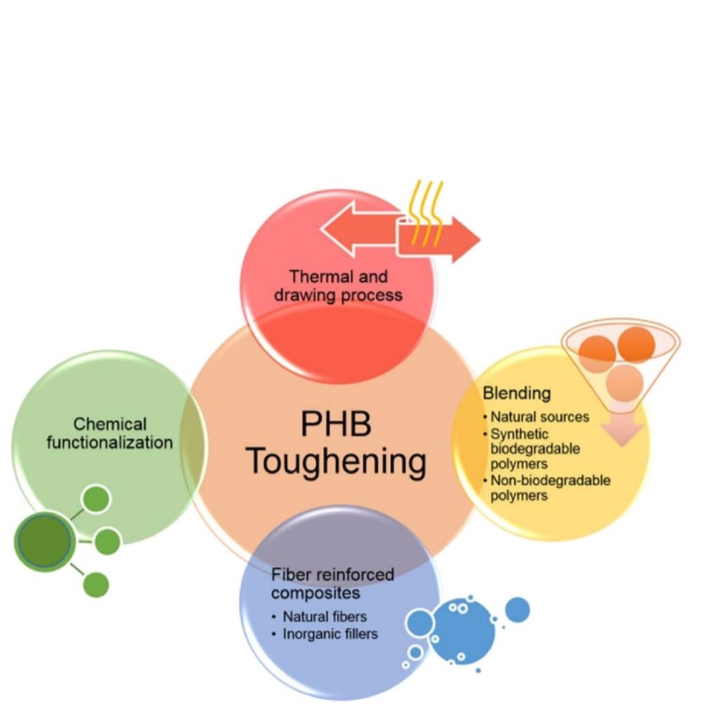 (PDF) Food Packaging Materials with Special Reference to Biopolymers ...