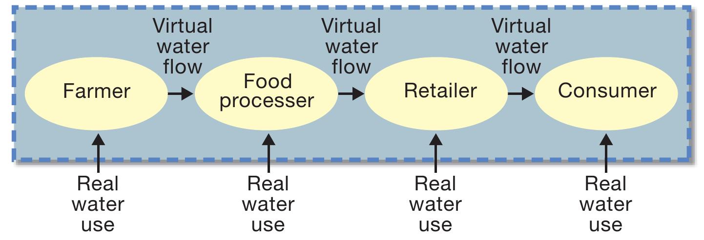 Virtual Water Process (PDF) The Water Footprint of Food