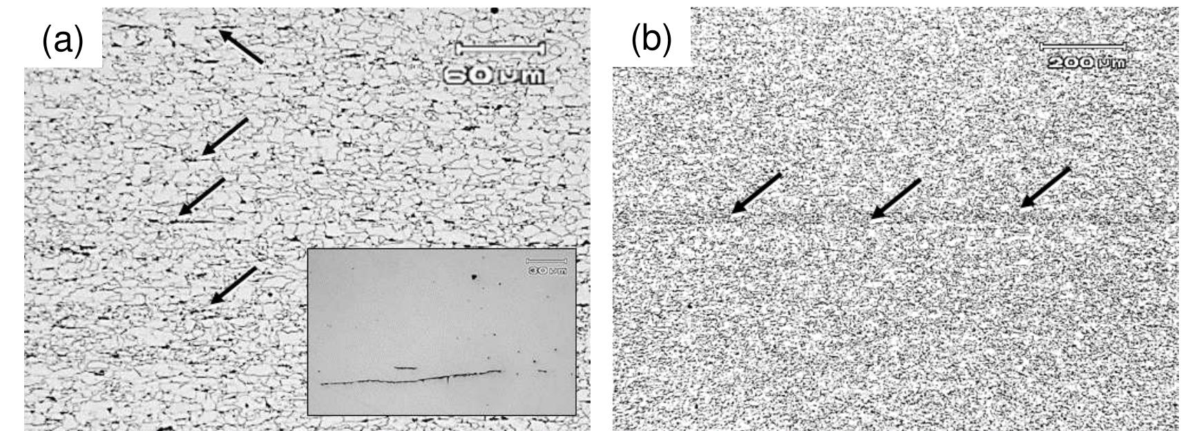 Metal Inclusion Microstructure The microstructure was observed on ¥2 thick of (a) steel x60