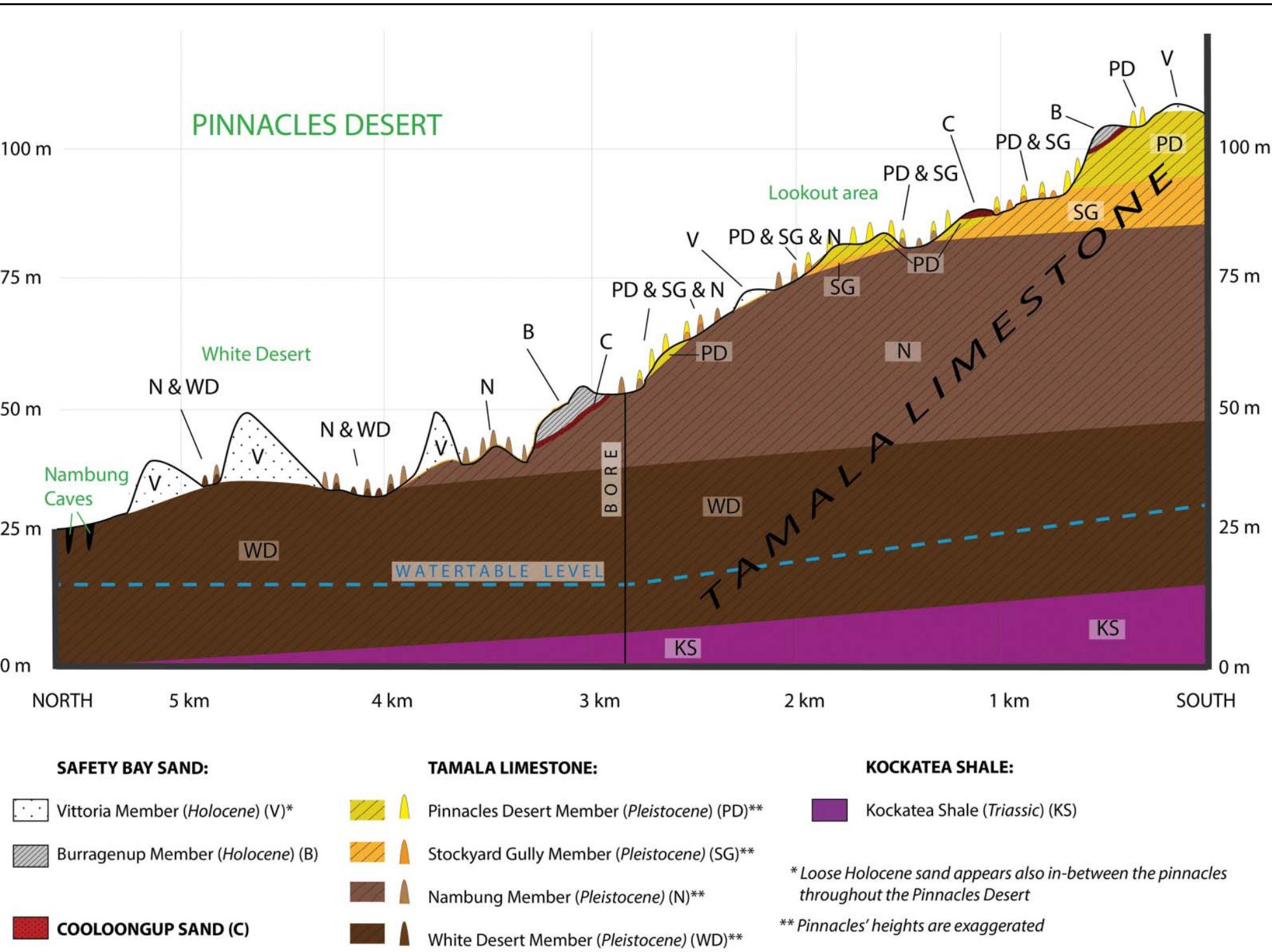 (PDF) Middle–late Pleistocene and Holocene chronostratigraphy and ...