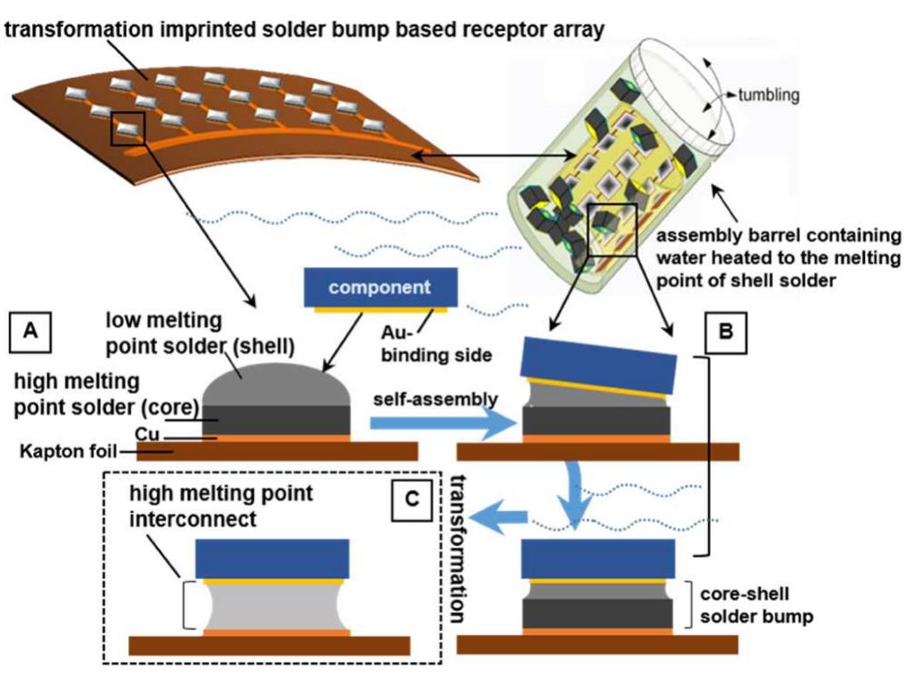 Soldering Liquid Core (PDF) Core–Shell Transformation-Imprinted Solder Bumps Enabling Low ...