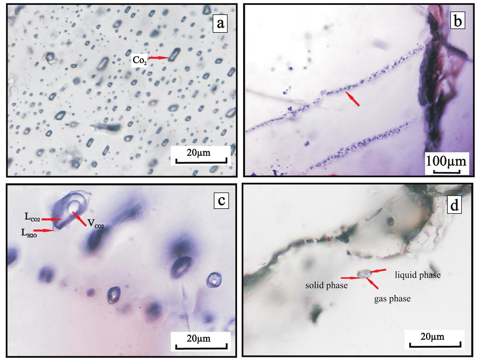 Multiphase Inclusions (PDF) Syn- to Post-Metamorphic Fluids in the Central Crystallines of ...