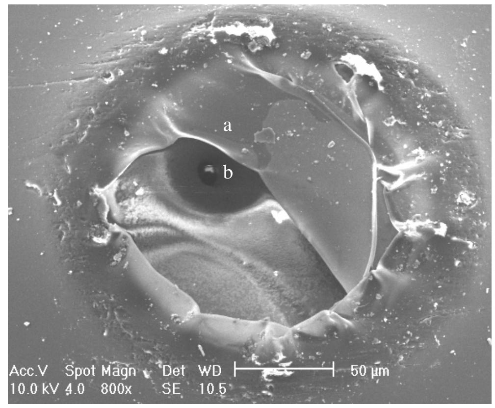 (PDF) Visual defects of painted surfaces on ABS/PC injected parts