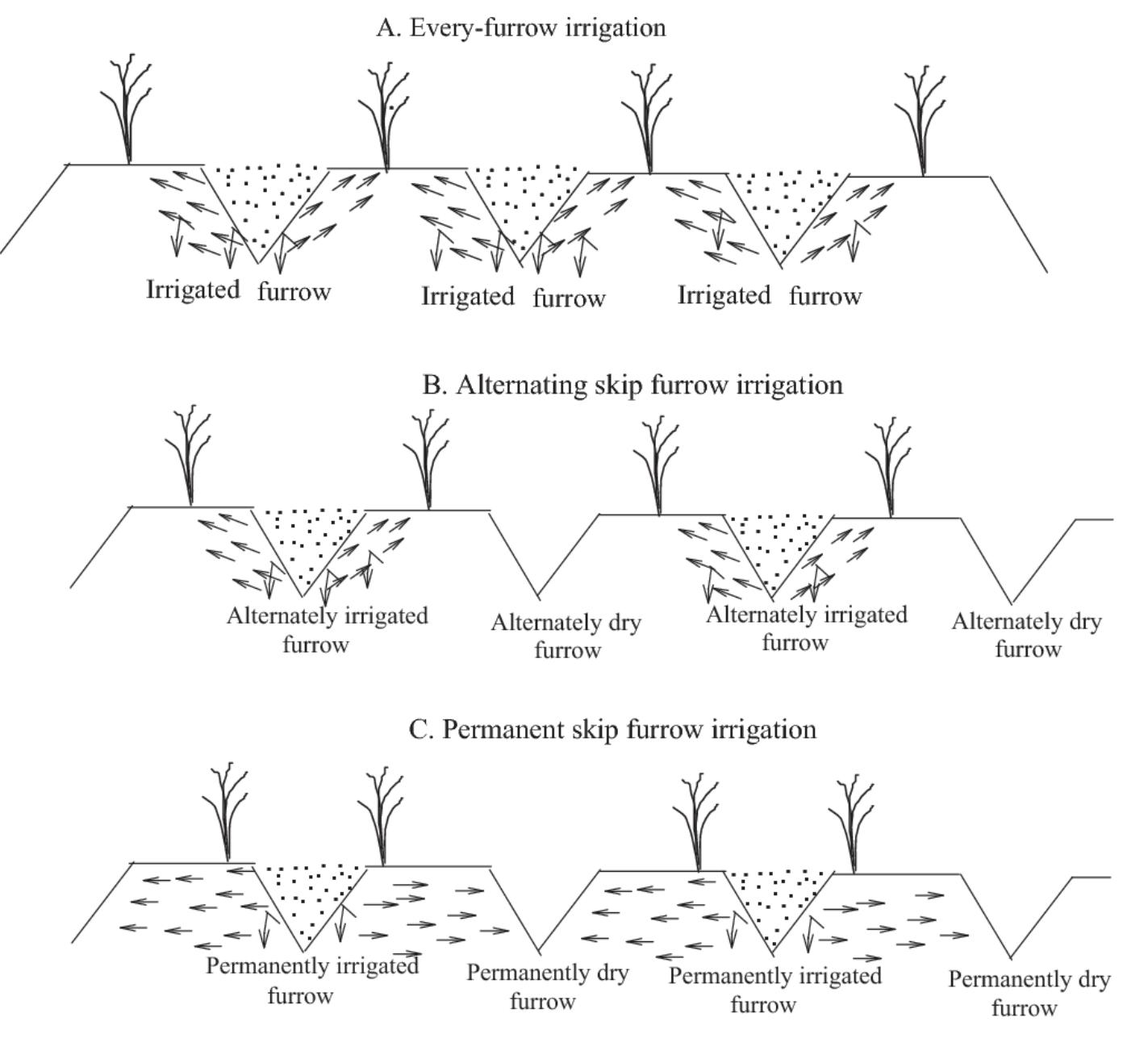 (PDF) Alternative Techniques of Irrigation Water Management for ...