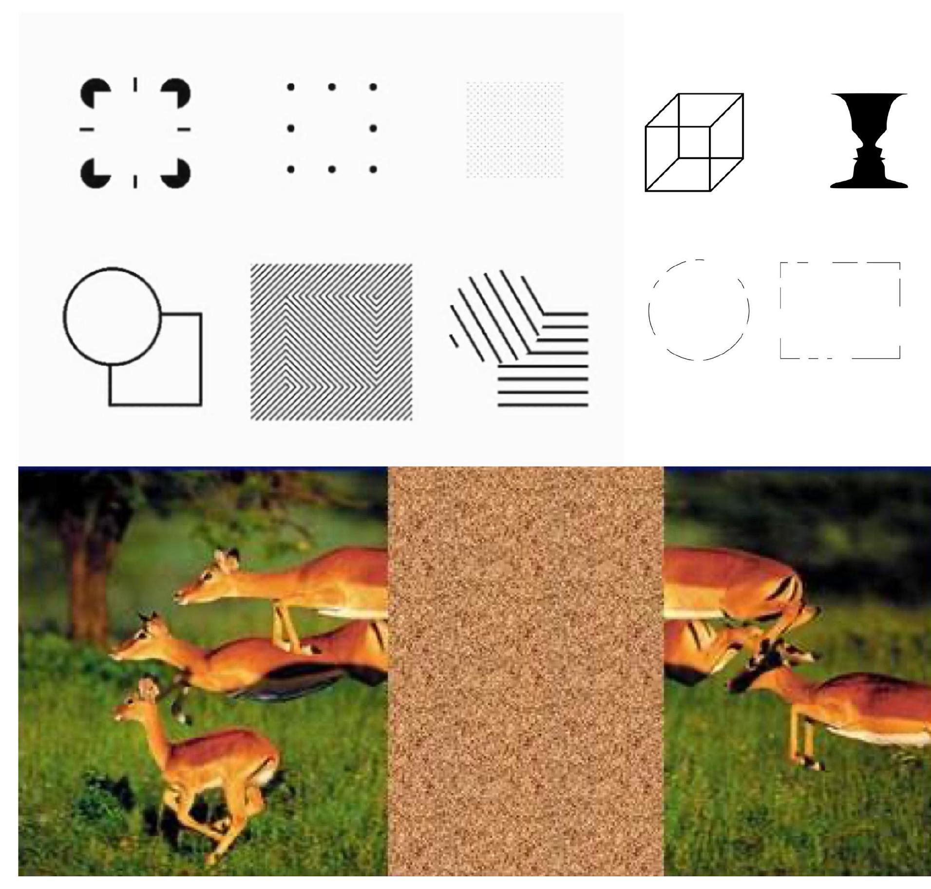 (PDF) Sketch as a Tool of Visual Ideation from the Design Perspective