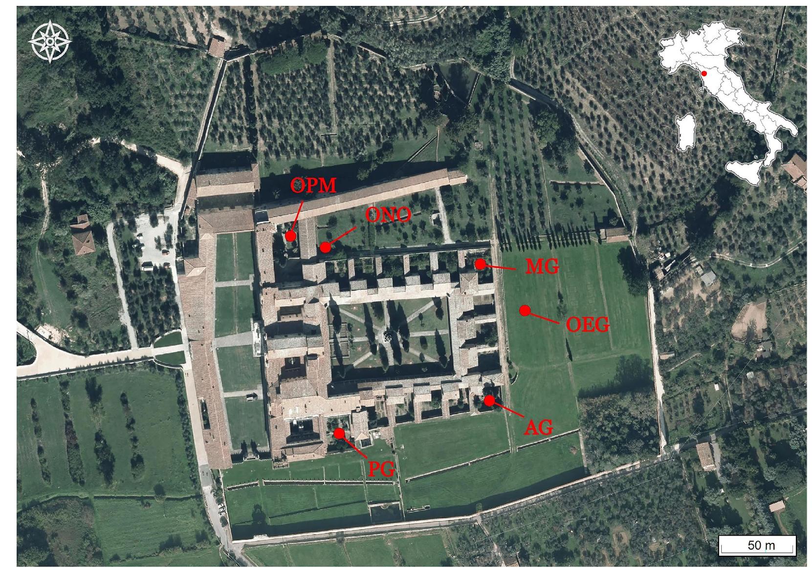 Figure 1. Location map of the Charterhouse of Calci, near Pisa in Tuscany-central Italy and planimetry of the Charterhouse, with excavation areas marked by red dots (Fathers’ gardens: PG = Father Prior’s Garden, AG = Father Apothecary’s Garden, and MG = Father Master’s Garden; outside sectors: OPM = Pisan Mountains courtyard, ONO = Northern Orchard, and OEG = Eastern vegetable Garden).  Figure 1. Location map of the Charterhouse of Calci, near Pisa in Tuscany-central Italy and planimetry  practices and horticulture over  ant  The present work stems from the archaeological research programme performed in the Charterhouse of Calci since 2018. The research project can be ascribed to Garden Archaeology and has been carried out wi  bioarchaeological analyses [3,4]. The arc  architectural transformations of t  and  dis and  horticultural activities to obtain a detai  ano  other cultivation practices.  th the main aim of understanding the garden  the centuries of occupation. The study includes pollen, hracological, and carpological analyses. The study of animal bones completed the  haeological investigation has focused on the  he gardens of the Father Prior’s, the Father Apothecary’s, the Father Master’s cells, and the green spaces outside the cloister walls, consisting of courtyards and orchards (Figure 1). S  pecial attention has been given to biological  urbances caused, e.g., by roots, animals, and microorganisms, pedological variations  ed picture of planting/explanting, fertilisation, 