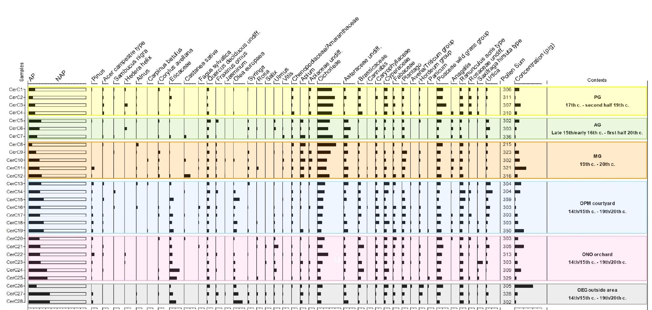 Figure 3. Charterhouse of Calci: synthetic pollen diagram (selected taxa and sums) of the different contexts (the chronology is shown in the last column of the pollen diagram: c. = century), from the outside sectors (bottom; OPM = Pisan Mountains courtyard-light blue, ONO = Northern Orchard- pink, and OEG = Eastern vegetable Garden-grey) to the Fathers’ gardens (top; PG = Father Prior’s Garden-yellow, AG = Father Apothecary’s Garden-green, and MG = Father Master’s Garden-orange).  outside sectors (bottom; OPM = Pisan Mountains courtyard-light blue, ONO = Northern Orchard 
