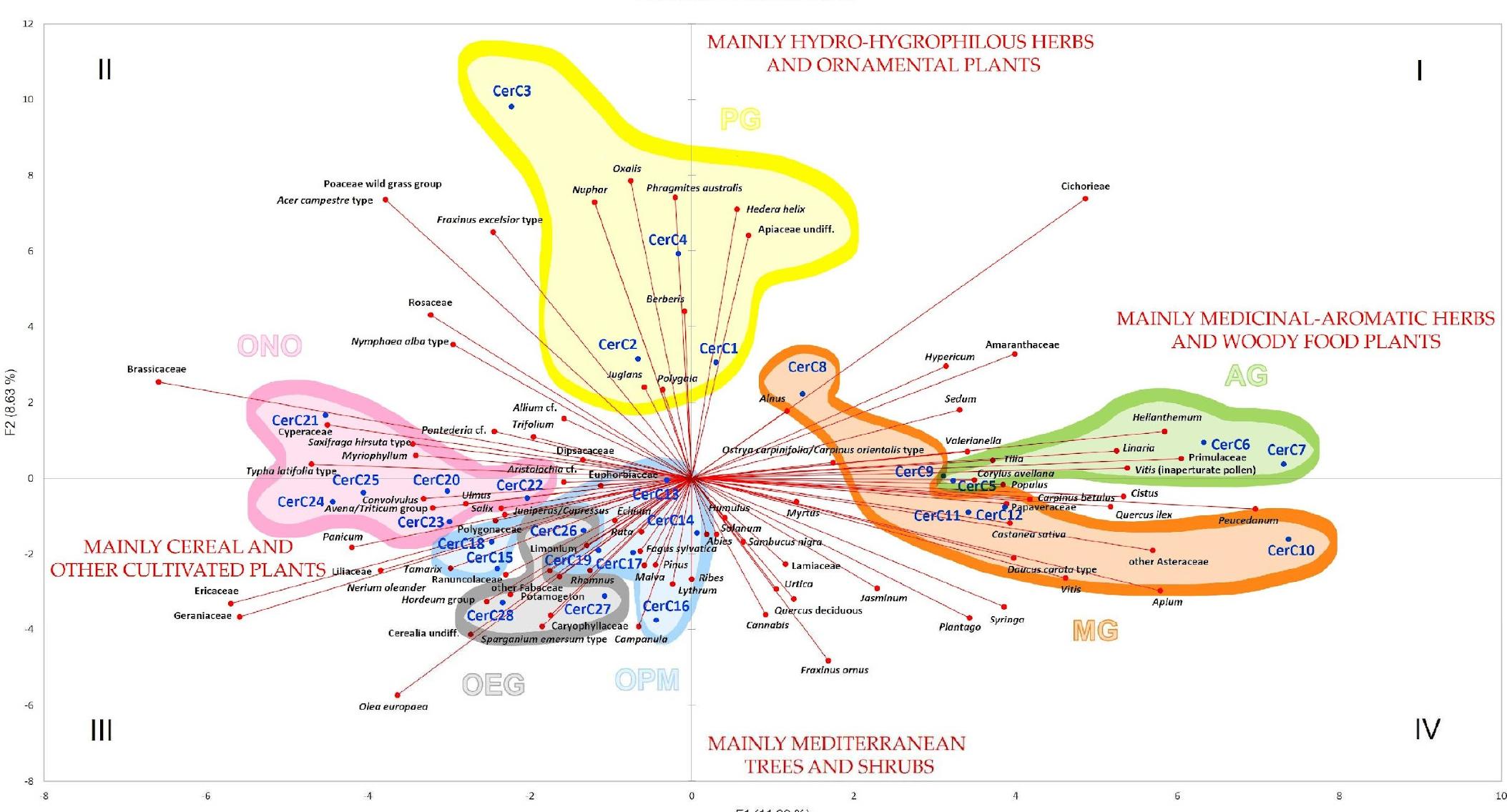 Figure 5. Principal Component Analysis (PCA) of pollen data from the Charterhouse of Calci. F1 separates pollen spectra between “maily medicinal-aromatic herbs and woody food plants” and “mainly cereal and other cultivated plants”, and F2 between “mainly hydro-hygrophilous herbs and ornamental plants” and “mainly mediterranean trees and shrubs”. Each context is separated by different colours according to those visible in Figure 3: PG = Father Prior’s Garden (yellow), AG = Father Apothecary’s Garden (green), MG = Father Master’s Garden (orange), OPM = Pisan Mountains courtyard (light blue), ONO = Northern Orchard (pink), and OEG = Eastern vegetable Garden (grey).  Palynological analysis returned a large and complex dataset consisting of 135 variables (pollen taxa) and 28 samples (CerC1-CerC28). Therefore, it was necessary to apply the Principal Component Analysis (PCA) as a method to bring out strong patterns from the dataset. The PCA proved effective in interpreting information on the ecological and floristic connotations of the different gardens and other contexts outside the cloister walls (Figure 5 The first PC (=F1: represented by the horizontal axis) explains 11.89% of the total variance and the second PC (=F2: the vertical axis) describes the second most variation in the data (8.63%). The components obtained do not have a distinct ecological-environmenta connotation as wet environments, entomophilous species, possibly cultivated herbaceous plants, and fruit-bearing trees are present in all quadrants of the PCA space. This output is plausible as it refers to contexts of similar nature within the same site. However, a genera description of flora and vegetation can be assumed for both components. The first PC presents high loadings for “mainly medicinal-aromatic herbs and woody food plants” (e.g. Peucedanum, Apium, Hypericum, Valerianella, Corylus avellana, and Vitis) and low loadings for “mainly cereal and other cultivated plants” (e.g., Hordeum group, Avena/ Triticum group, and Brassicaceae). The second PC presents high loadings for “mainly hydro-hygrophilous herbs and ornamental plants” (e.g., Phragmites australis, Nuphar, Nymphaea alba type, Oxalis, Rosaceae, and Polygala) and low loadings for “mainly Mediterranean trees and shrubs’ e.g., Olea europaea, Fraxinus ornus, and Syringa).  