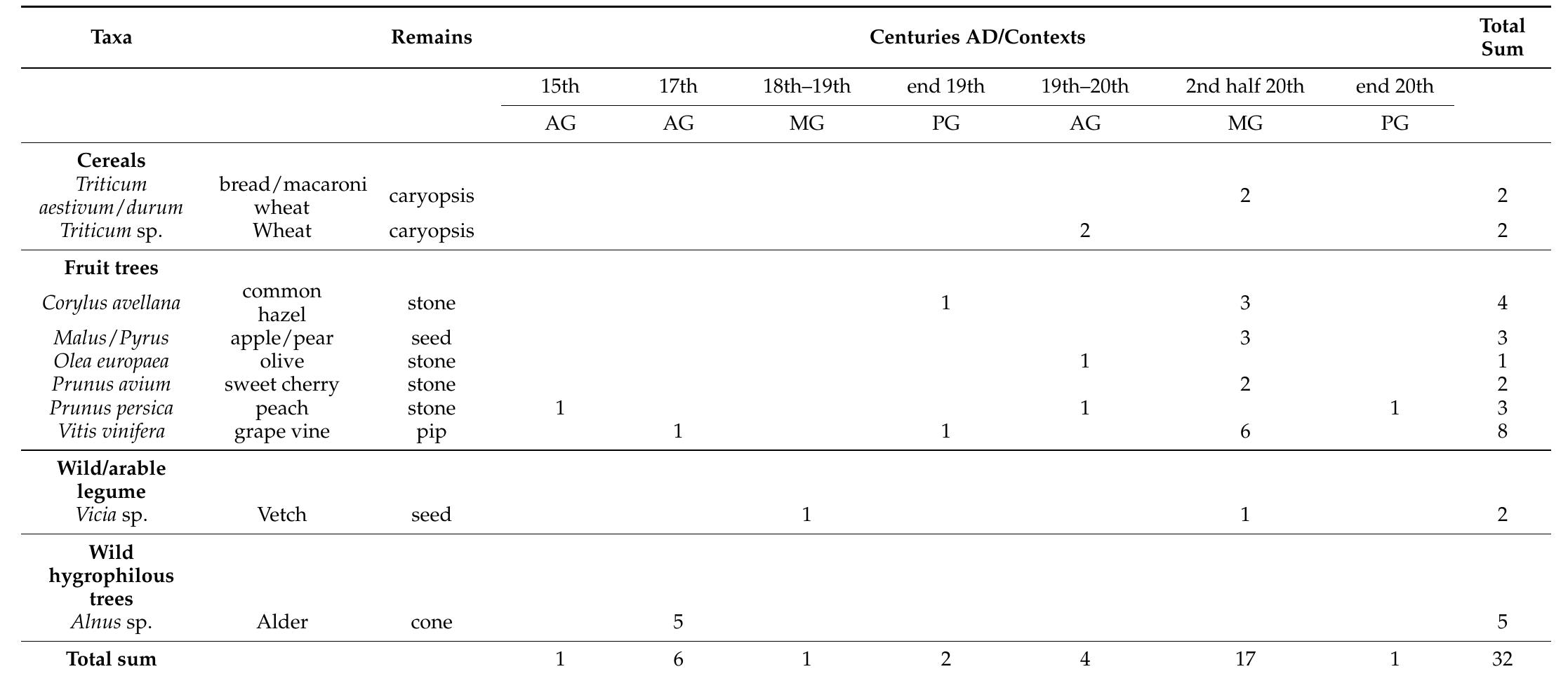 Table 2. Charterhouse of Calci: list of determined seed /fruit individual remains.  3.1. The Fathers’ Internal Gardens (PG, AG, MG) 