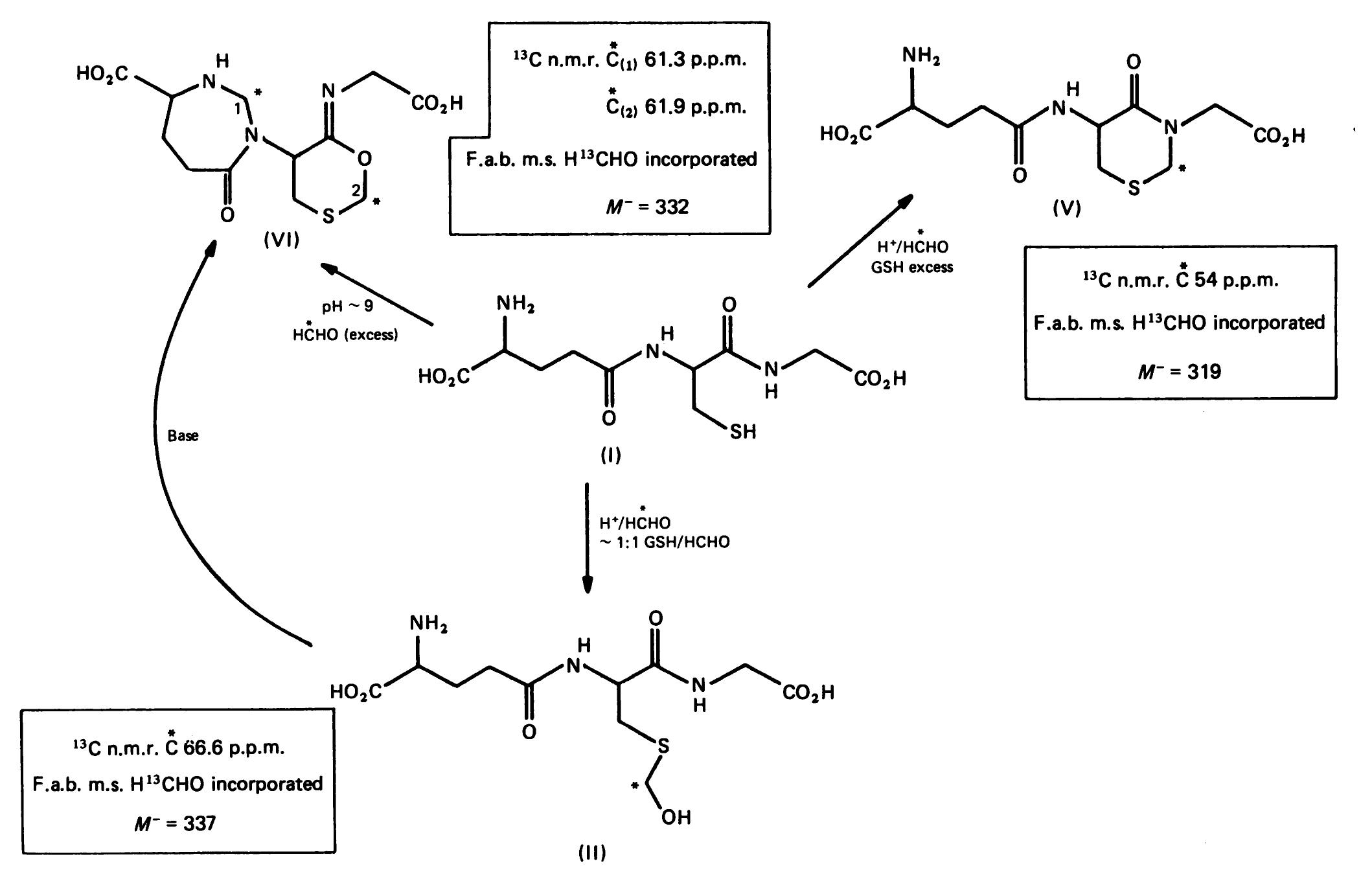 Structures and spectroscopic properties of adducts formed
