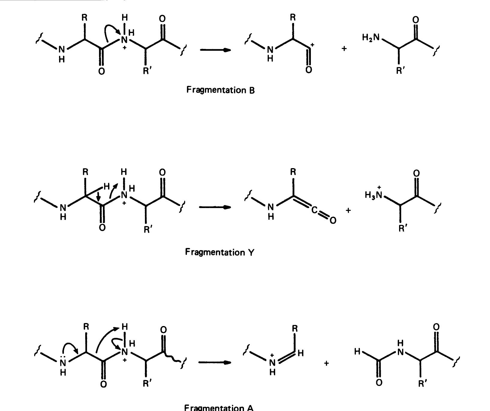 Structures and spectroscopic properties of adducts formed