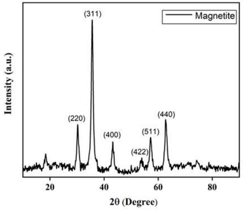 Magnetite Rees Pattern Figure 1 - from Adsorption Studies of Pb(II) and Cd(II)