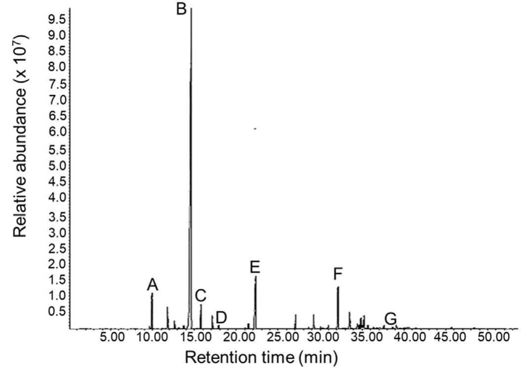 FIG. 1. Metabolite profile of Melaleuca cajuputi essential oil on total ion chromatogram: (A) a-pinene, (B) 1,8-cineole, (C) y-terpinene, (D) linalool, (E) a-terpineol, (F) car- yophyllene, (G) nerolidol. 