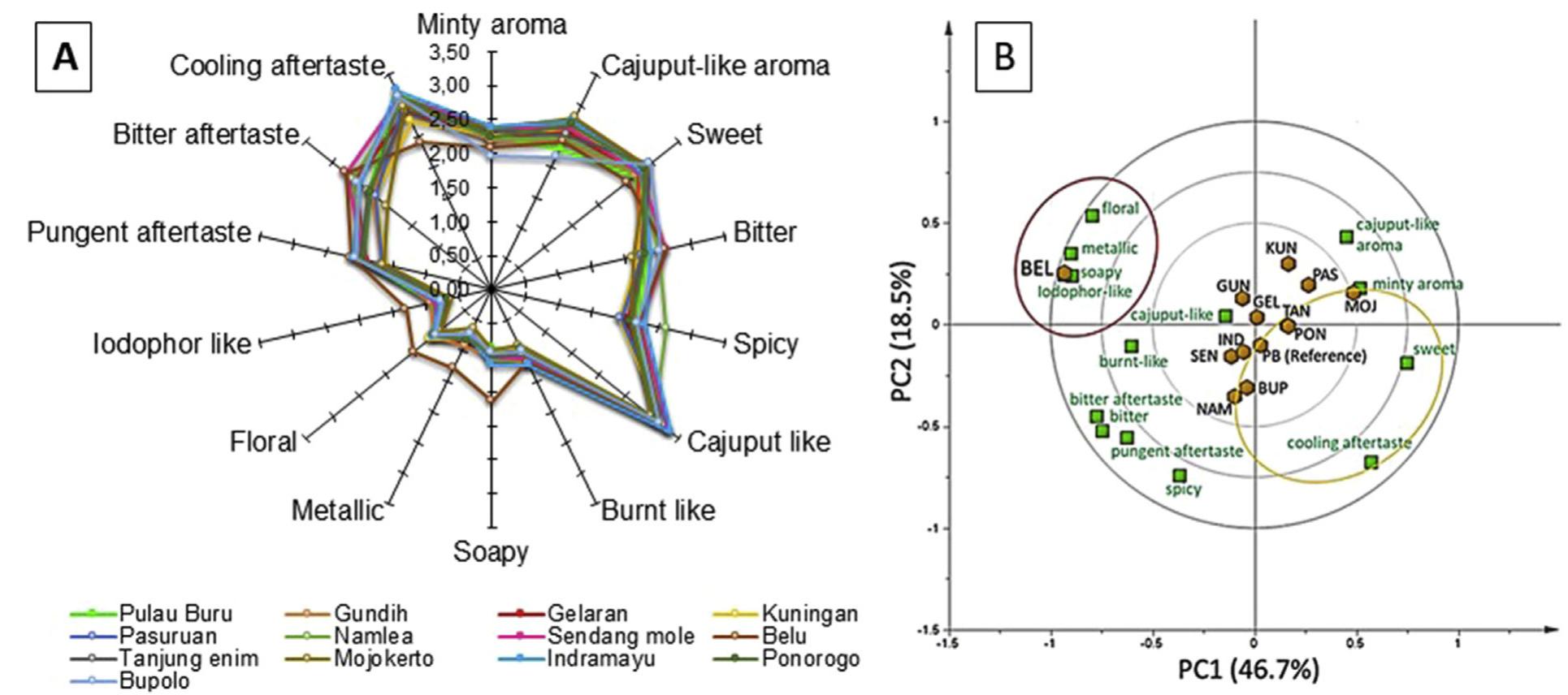 FIG. 3. Rate-all-that-apply analysis of 13 MCEOs in Cajuputs Candy: (A) different intensities of 14 sensory attributes (aroma, taste, flavor, and aftertaste) of Cajuputs Candy samples; (B) PCA biplot showing contributing attributes to every MCEO group. 