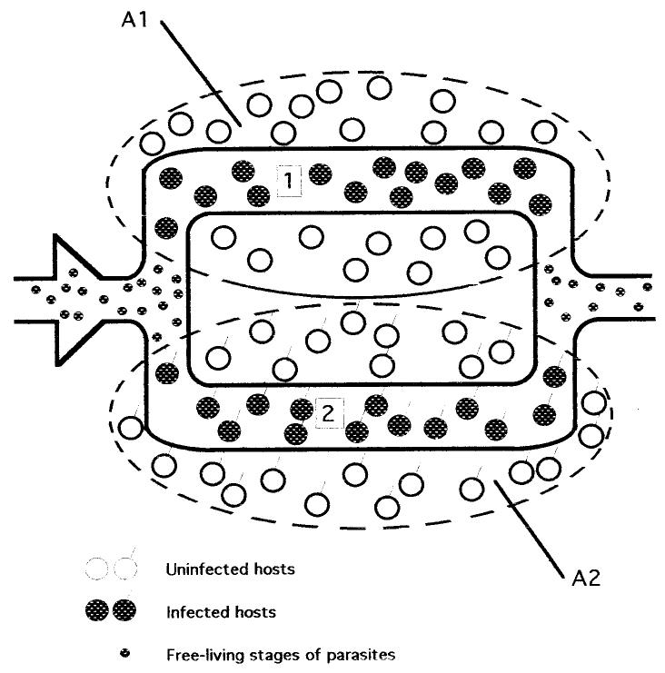 (PDF) Parasitic systems and the structure of parasite populations