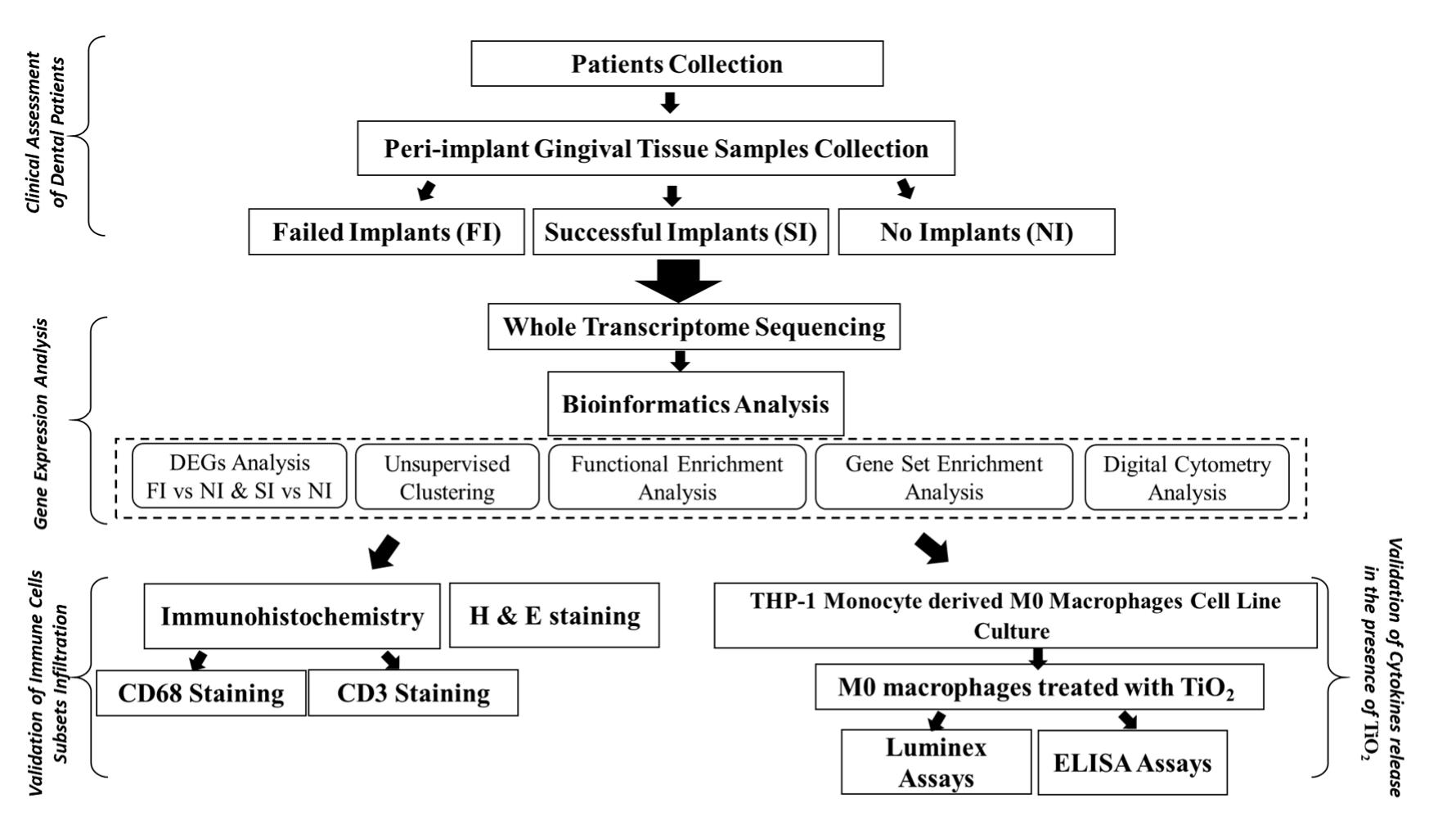 General flowchart of the research methodology.