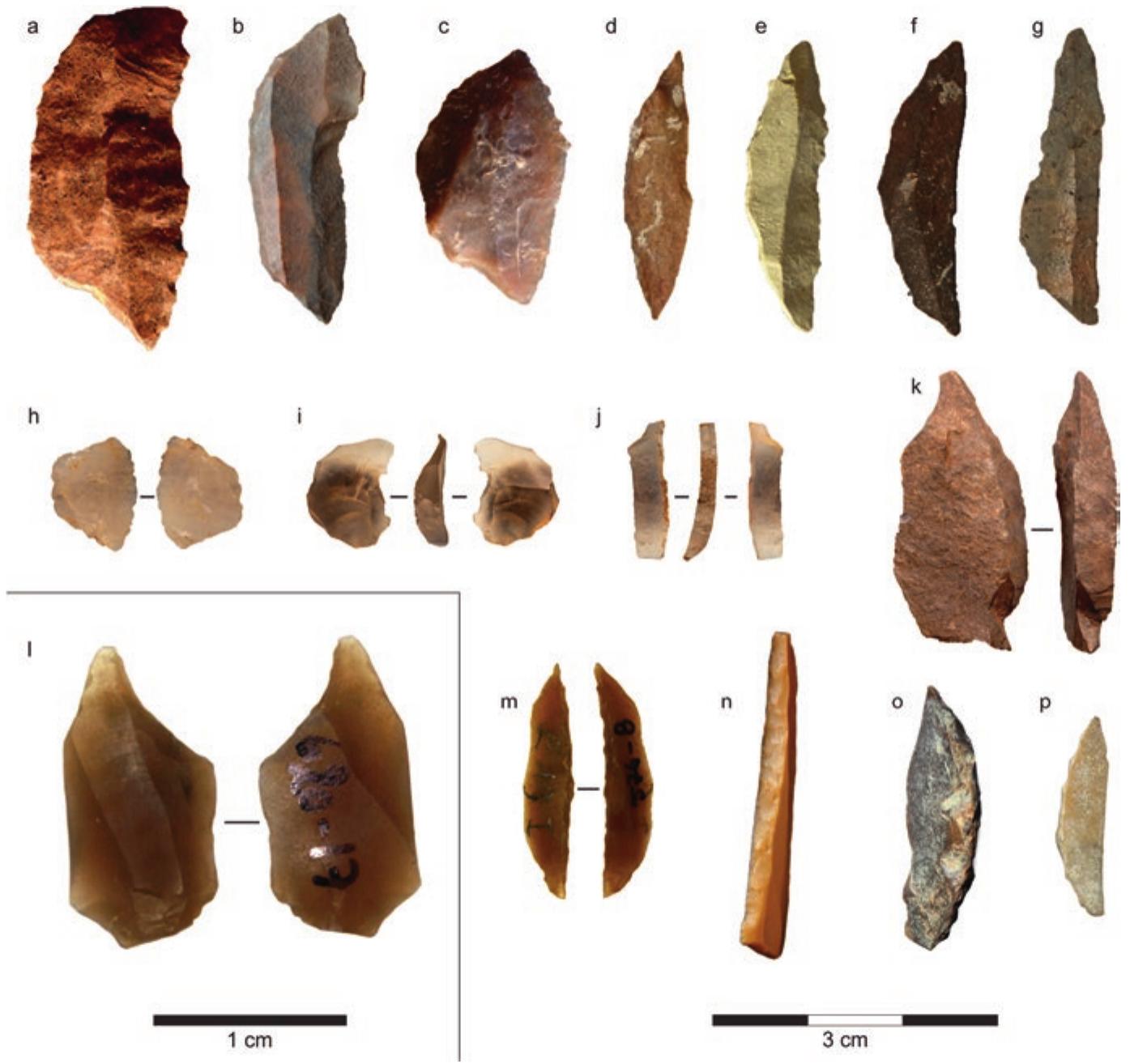 Microliths (PDF) The Pleistocene Stone Artifact Record of Africa: Technologies ...