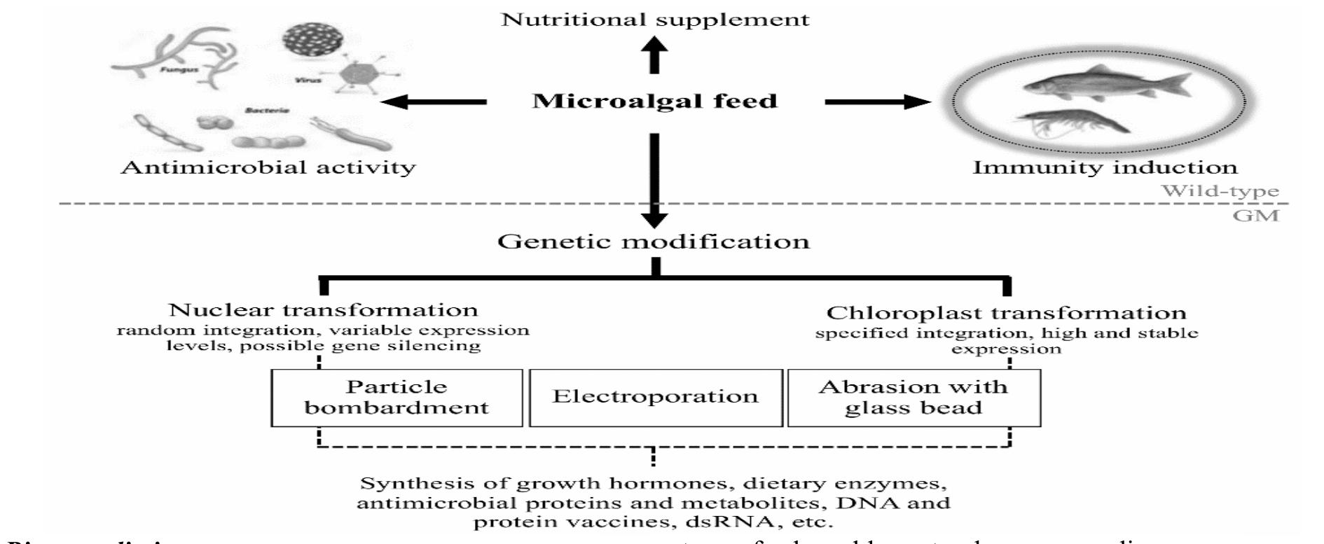 (PDF) Applications of Biotechnology in Fish