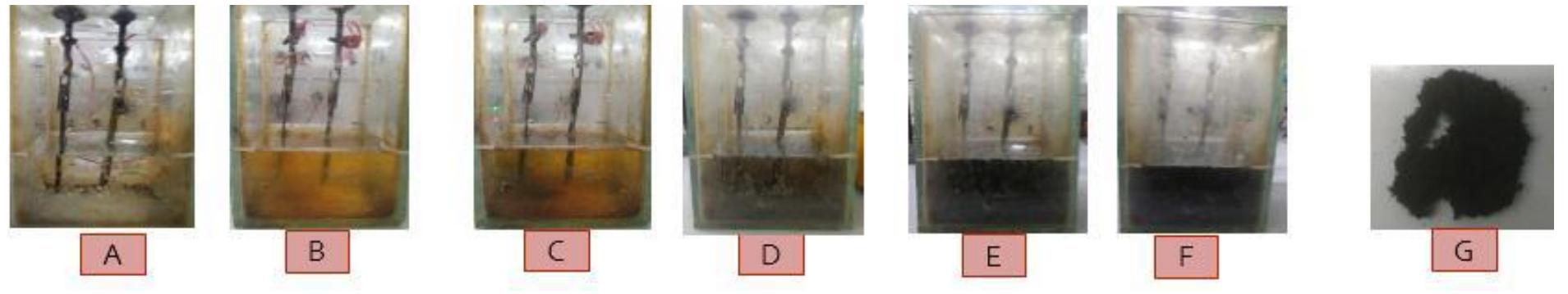 Sem images of magnetite with and without templates are