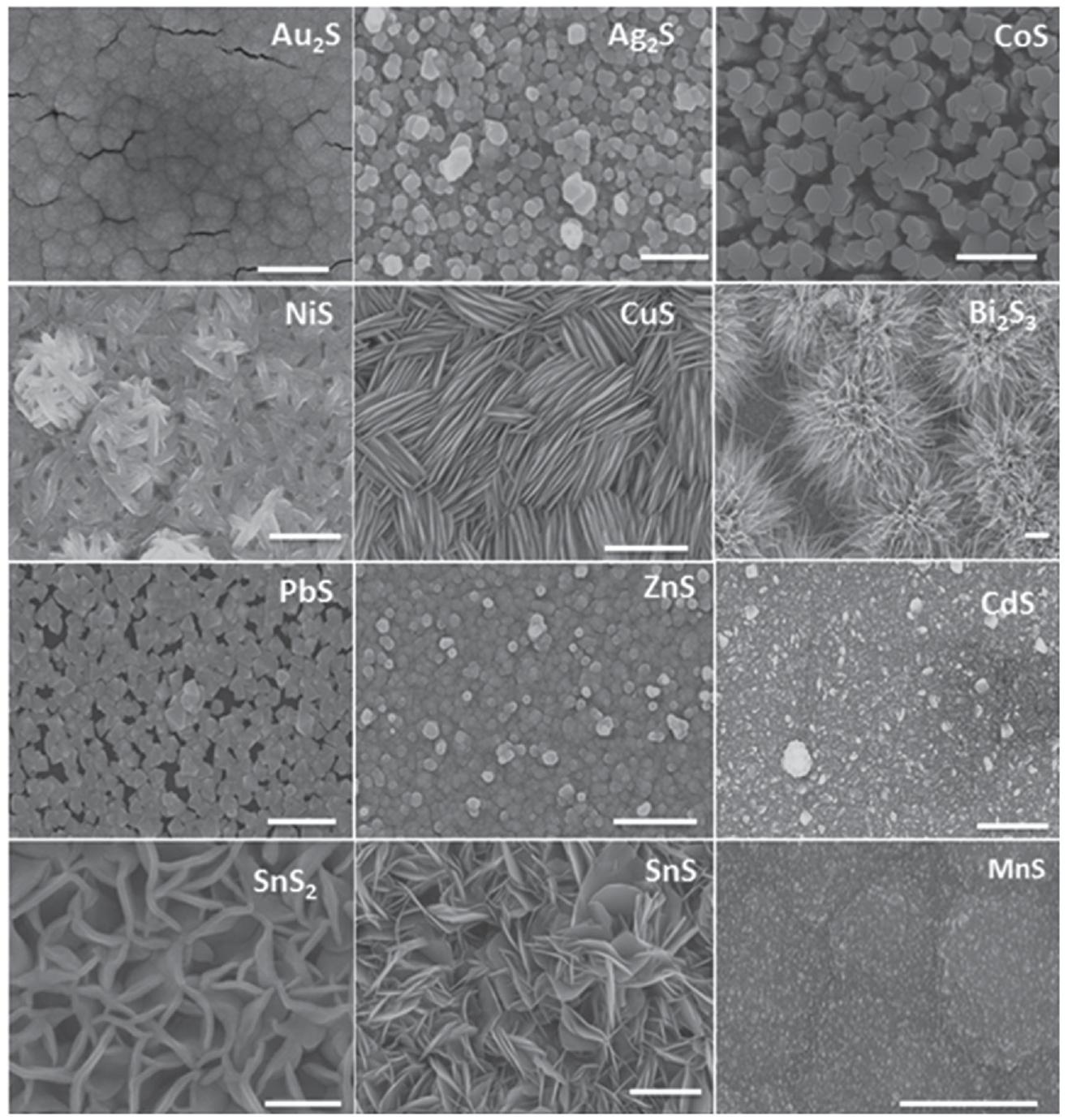 Ms Films Scanning electron microscopy images (false colored) of