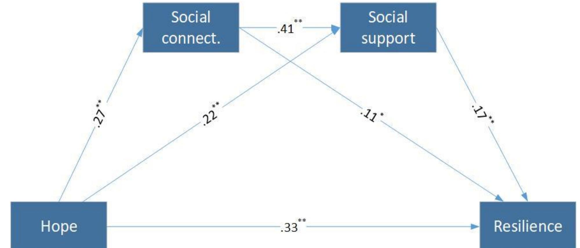 (PDF) Effect of Hope on Resilience in Adolescents: Social Support and ...