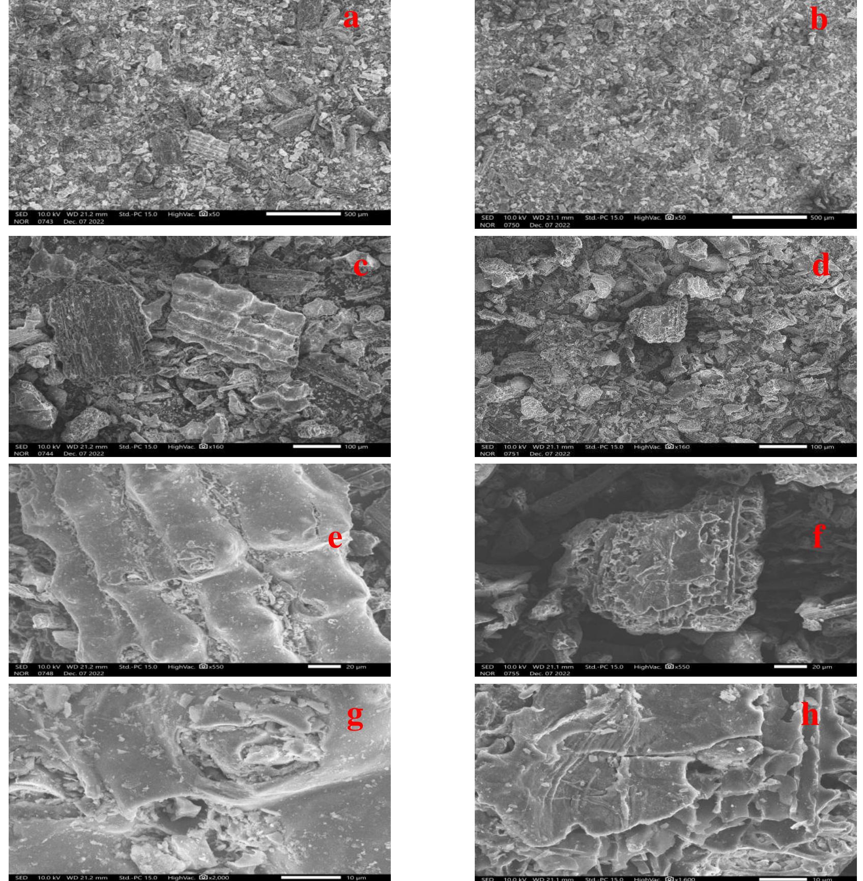 (PDF) Exploring the Benefits of Rice Husk Waste: Synthesis and ...