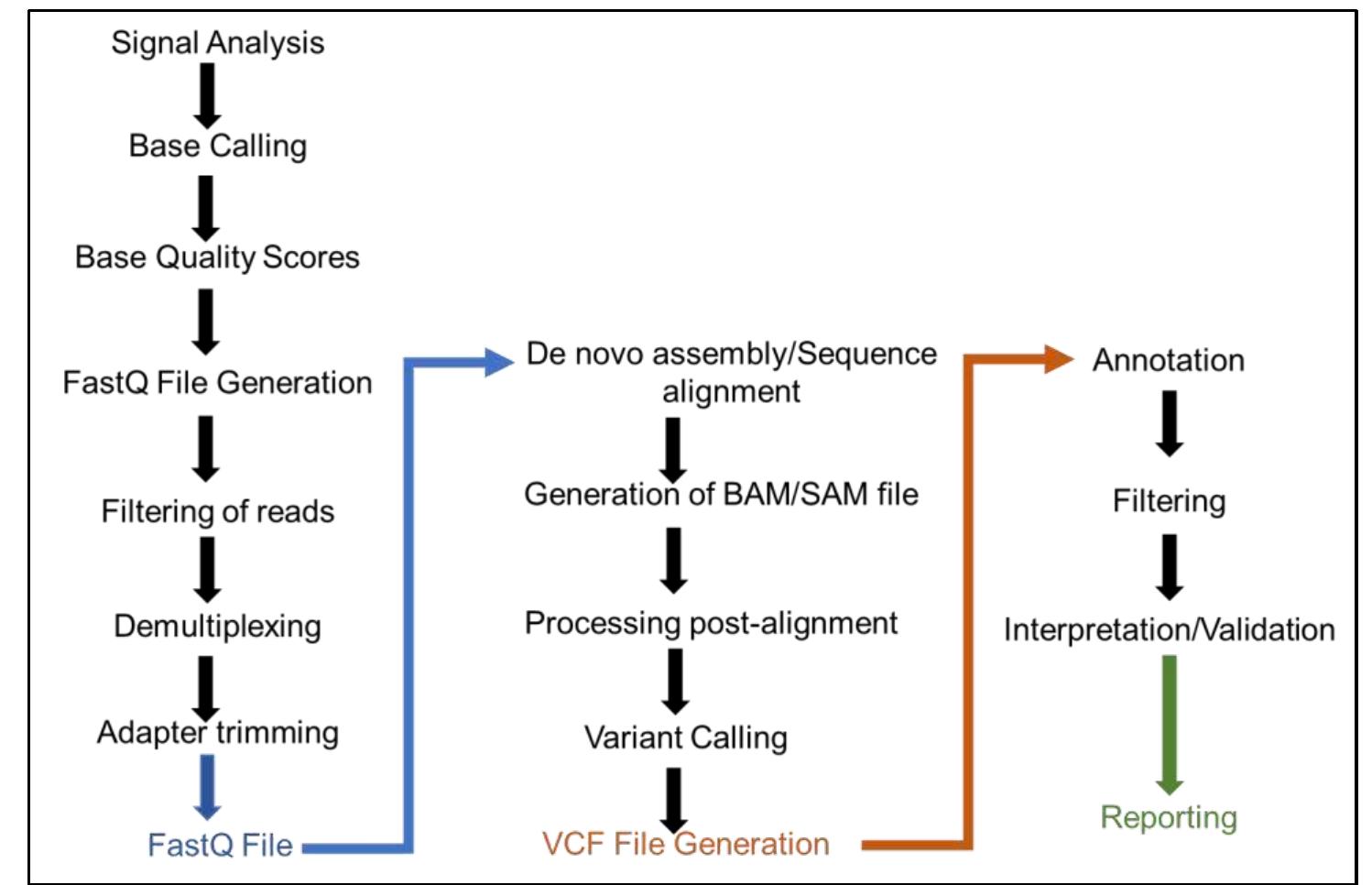 (PDF) A Review on Bioinformatics Tools for Transcriptomics NGS Data ...