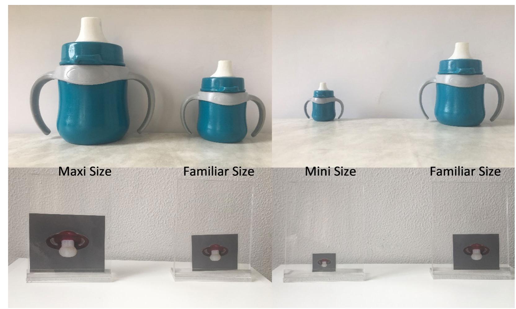 FIGURE 2. Example of the familiar-maxi-pairing on the left side and familiar-mini-pairing on the right side for tt sippy cups as real objects on the top and for the pacifiers as pictures in the stand-up displays on bottom. In the experiment itself, real objects and pictures were presented on a table and not in front of a white wall 