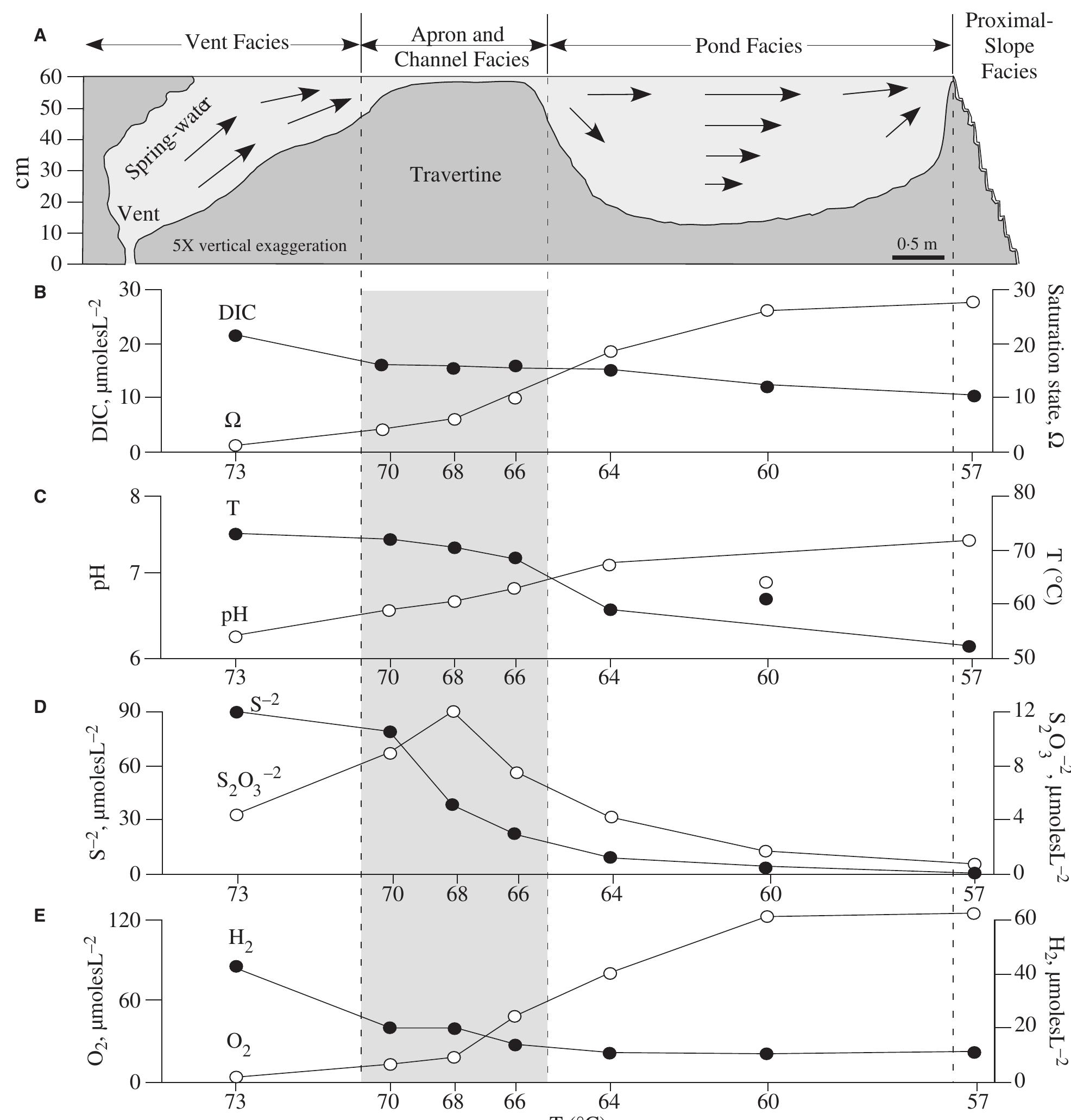 Fig. 20. Geomorphology and geochemistry of the vent, apron and channel, pond and proximal-slope facies at Mammoth Hot Springs. (A) Schematic cross-section (5x vertical exaggeration). Spring-water velocities at the surface of the pond are faster than those at the base. (B) to (E) Spring-water geochemistry from vent to proximal-slope facies along the drainage system. 