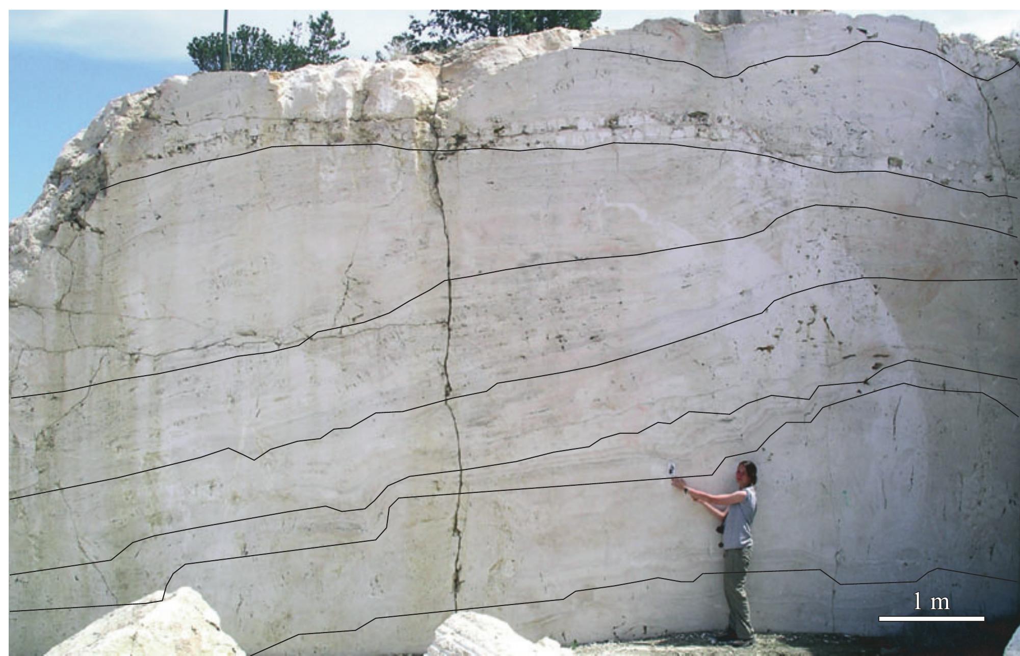Fig. 29. Field photograph of a wall left after excavation of travertine from the Gardiner White Quarry. The outcrop is a cross-section parallel to the flow direction within the proximal-slope facies and has been dated at ca 30 000 YBP. Primary bedding planes within the outcrop are highlighted with black lines, illustrating changes in geomorphology during simultaneous aggradation and progradation of the Proximal-Slope Facies travertine deposits. 
