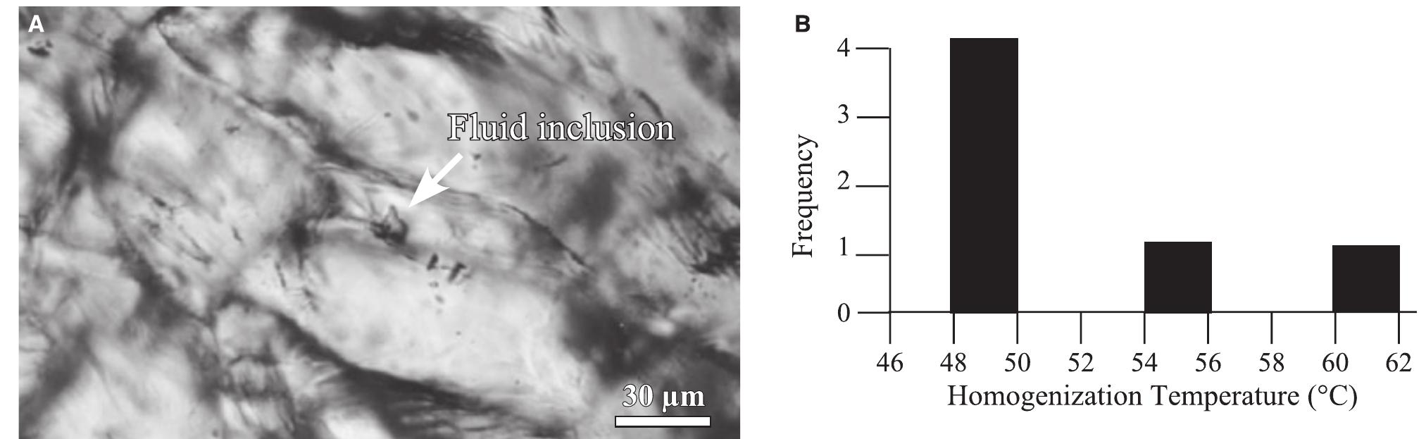 Fig. 31. Fluid inclusions within 100 YBP calcite crystals in the pond facies at Highland Terrace in the MHS com- plex. (A) Plane-light photomicrograph. (B) Frequency histogram of homogenization temperatures. 