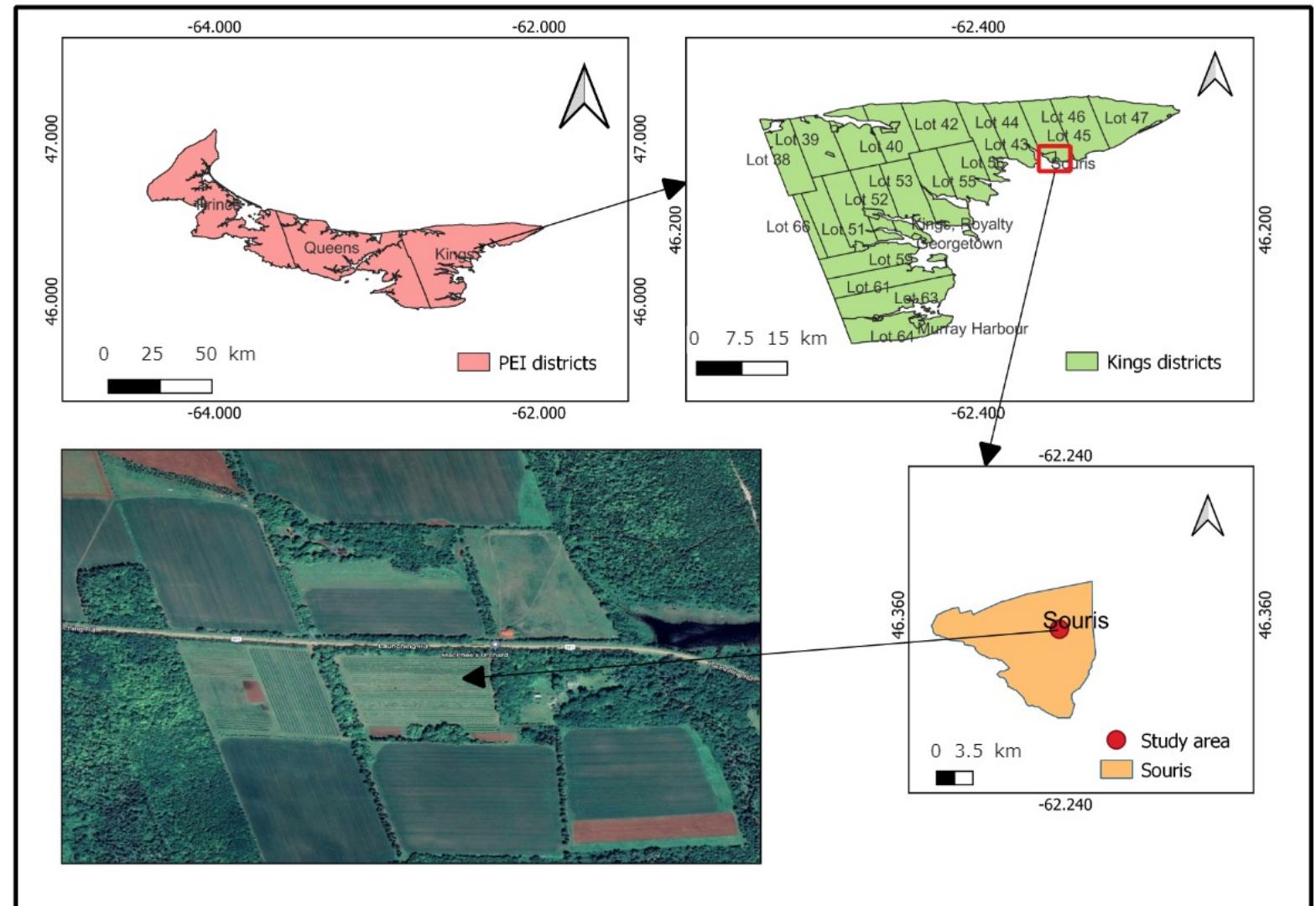 (PDF) UAV-Based Computer Vision System for Orchard Apple Tree Detection ...