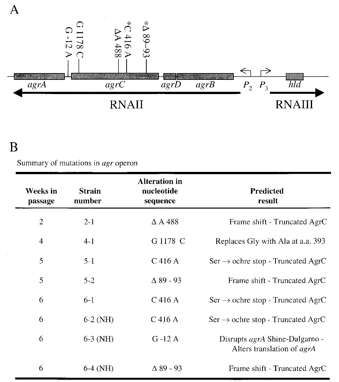 (PDF) In Vitro Serial Passage of Staphylococcus aureus : Changes in ...