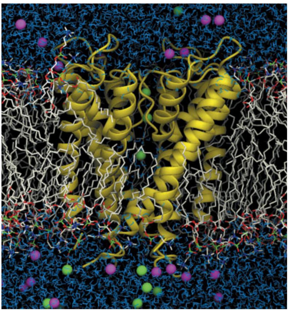 Figure 1 - from CHARMM: The biomolecular simulation program