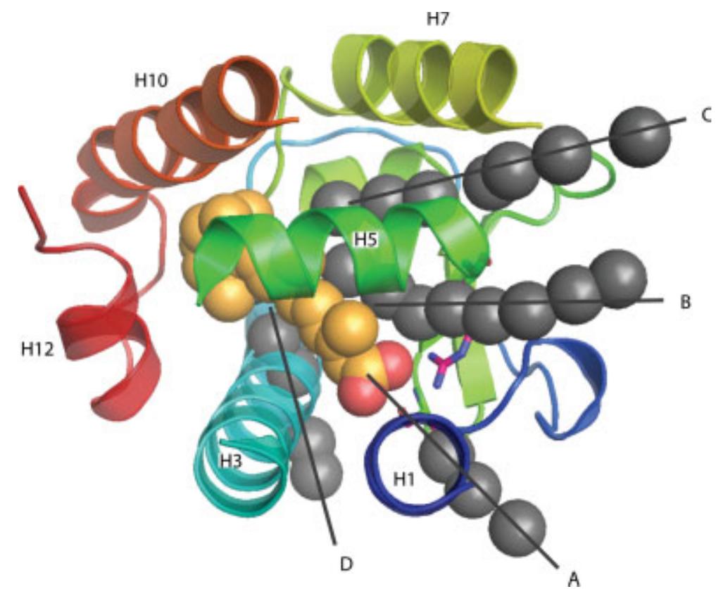 Model Pathways Links Rvt Figure 1 - from CHARMM: The biomolecular simulation program
