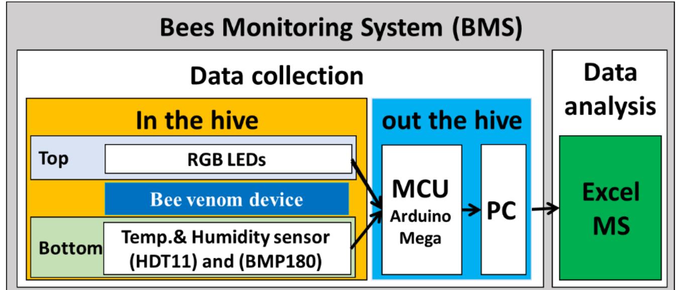 Stages of study and components of (bms) it is connected to a