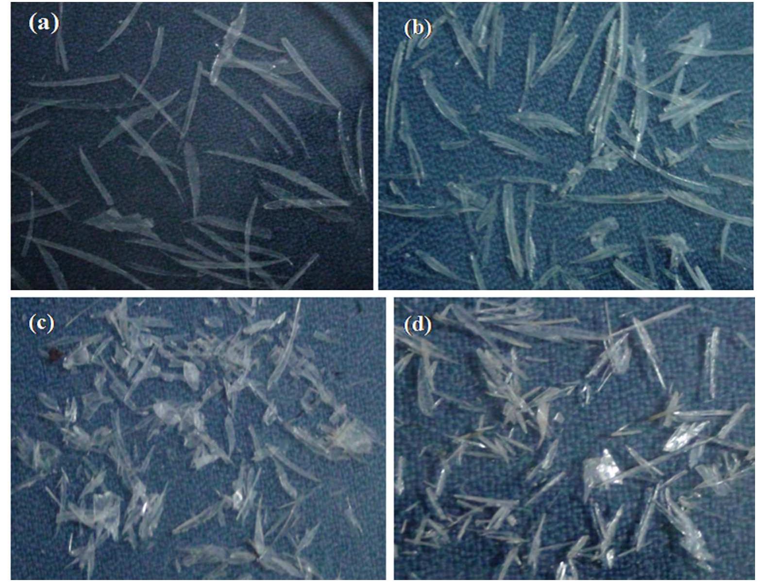 Figure 4 - from GROWTH CHARACTERIZATION OF CALCIUM HYDROGEN