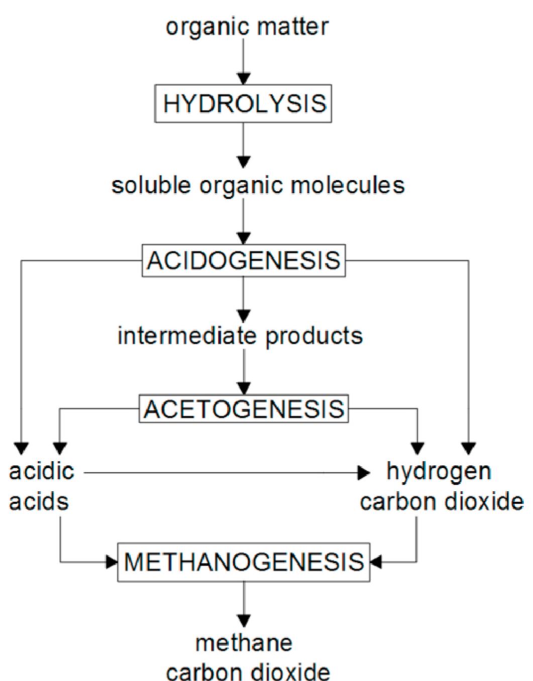Acetogenesis Process (PDF) Potential hazards posed by biogas plants