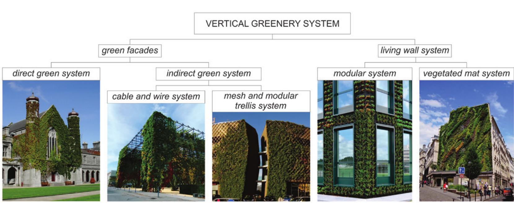(PDF) Principles of Implementation of the Vertical Greenery System (VGS ...