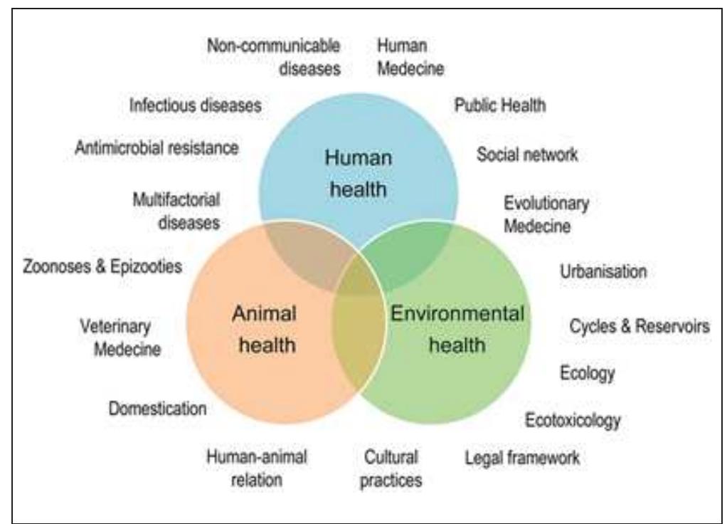 (PDF) ‘One Health’ Approach to Infectious Diseases and Prevention of ...