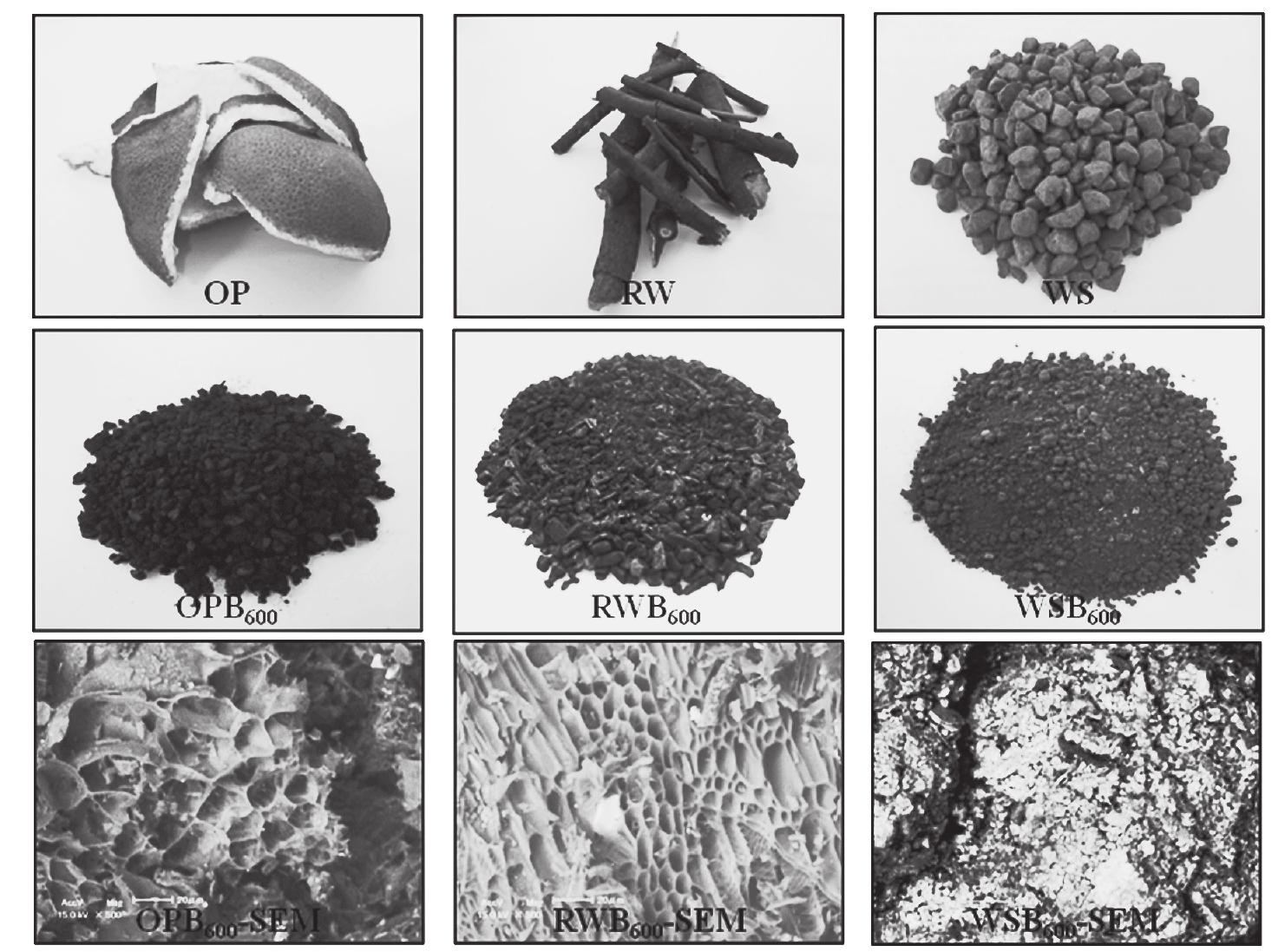 (PDF) Characterization of Biochar Derived from Three Types of Biomass